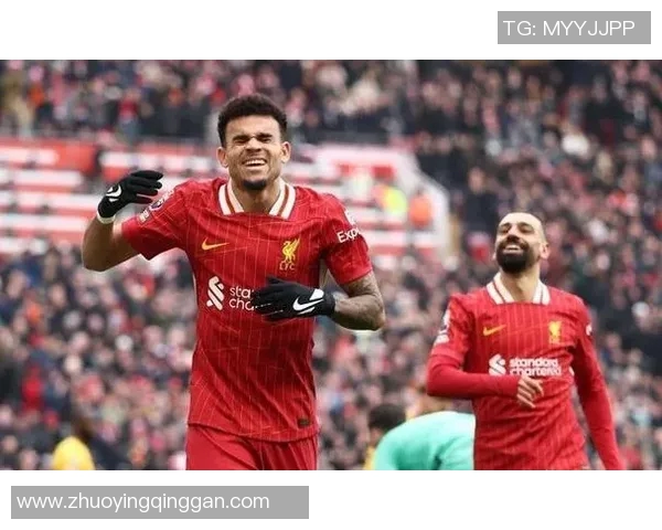 足球七号的传奇之路与背后的故事揭秘